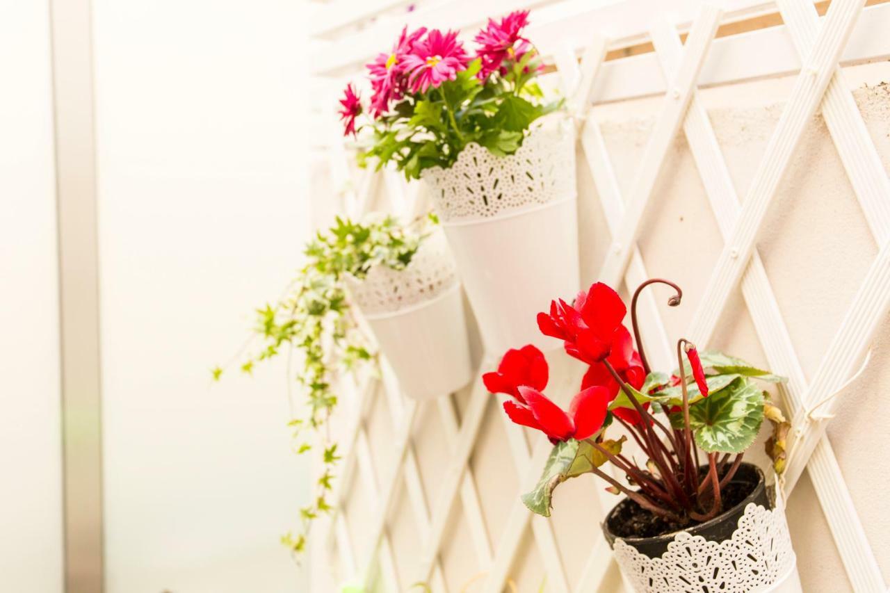 Opo Arte With Terrace And A/c Appartamento *
